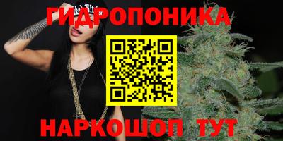 ешки Бийск
