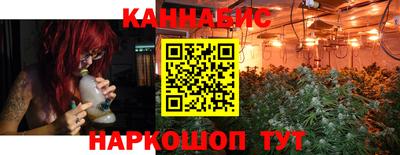 прущие грибы Будённовск