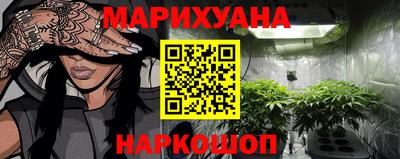 прущие грибы Будённовск