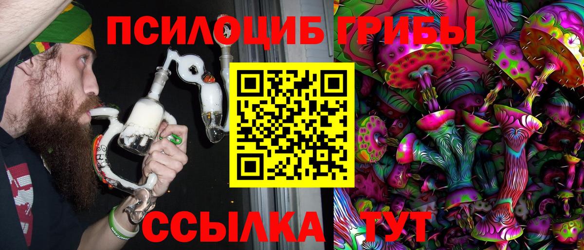 Галлюциногенные грибы Psilocybine cubensis Ирбит